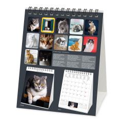 Calendar 2022 - Cats