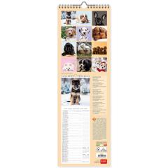 Calendar 2022 - Puppies, 16x49 cm