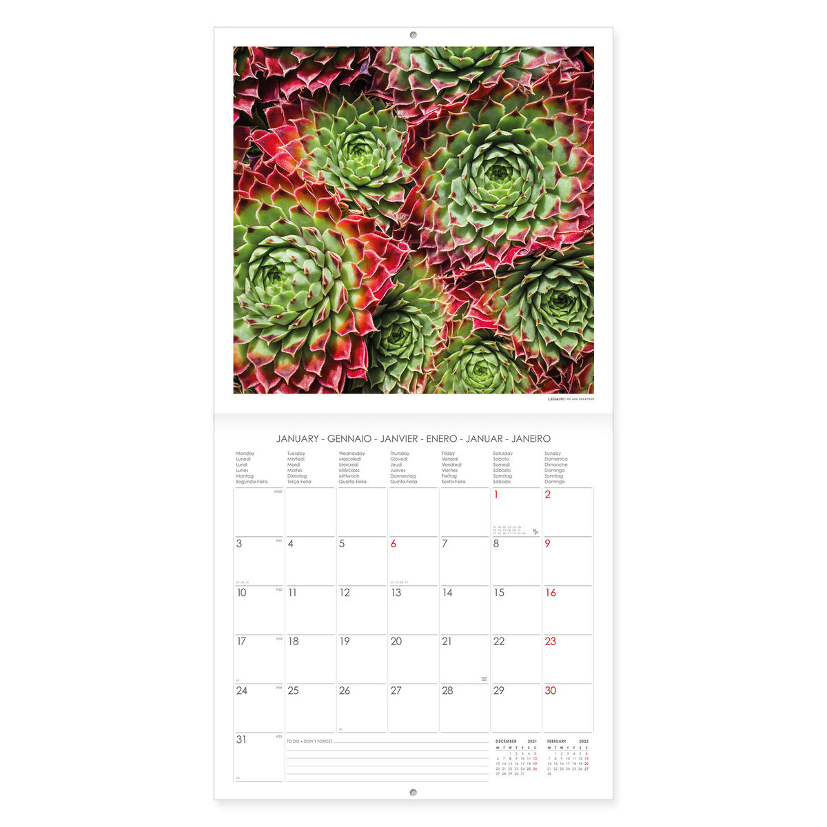 Calendar 2022 Succulents 30x29 Cm Legami