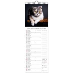 Calendar 2022 - Cats, 16x49 cm