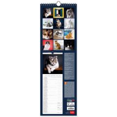 Calendar 2022 - Cats, 16x49 cm