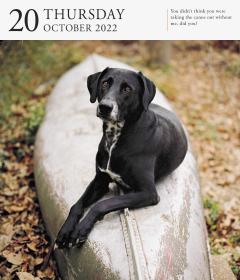 Calendar 2022 - Page-A-Day Gallery Calendar: Dog