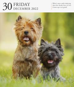 Calendar 2022 - Page-A-Day Gallery Calendar: Dog