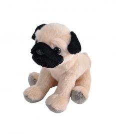 Jucarie de plus - Catel pug