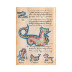 Agenda 2022 - Mini, Day-at-a-Time - Astronomia