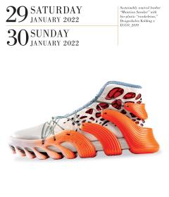 Calendar 2022 - Page-A-Day Gallery Calendar: Shoes