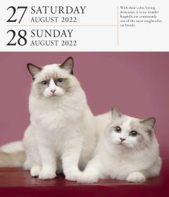 Calendar 2022 - Page-A-Day Gallery Calendar: Cat
