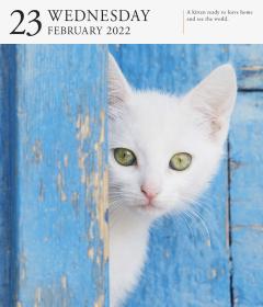 Calendar 2022 - Page-A-Day Gallery Calendar: Cat