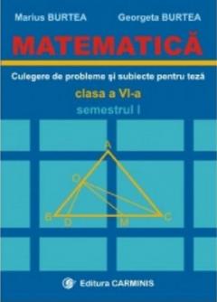 Matematica. Culegere de probleme si subiecte pentru teze -Clasa a VI-a