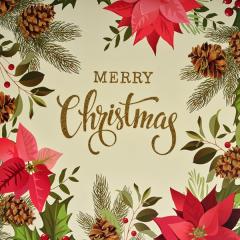 Punga cadou - Gold Glitter Poinsettia Design, XL - mai multe modele