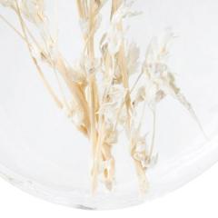 Glob - Disc Glass Dried Flowers Inside - mai multe modele - pret pe bucata