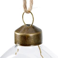 Glob - Disc Glass Dried Flowers Inside - mai multe modele - pret pe bucata