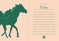 Little Book of Lore for Horse Lovers