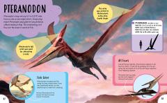 Children's First Dinosaur Encyclopedia