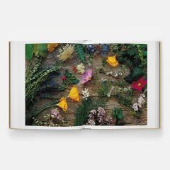 Septime, La Cave, Clamato, D'une ile