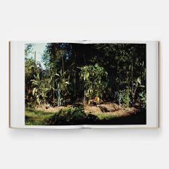 Septime, La Cave, Clamato, D'une ile