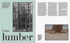 The Architectural Review #1485