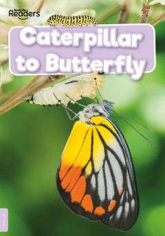 Coperta cărții Caterpillar to Butterfly