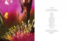 Alexis Rockman: Works on Paper