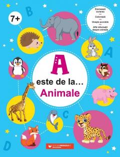 A este de la… Animale 