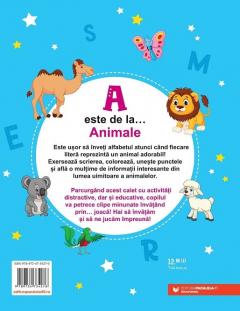 A este de la… Animale 