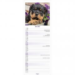 Calendar 2022 - Slimline - Puppies