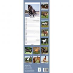 Calendar 2022 - Slimline - Horses