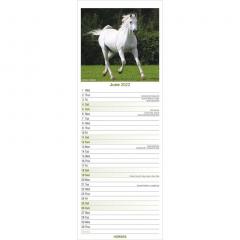 Calendar 2022 - Slimline - Horses