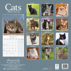 Calendar de perete 2022 - Cats