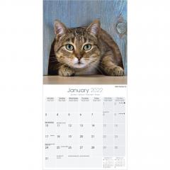 Calendar de perete 2022 - Cats