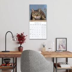 Calendar de perete 2022 - Cats