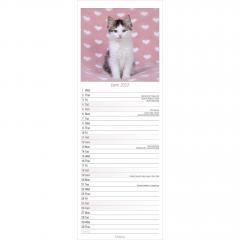 Calendar 2022 - Slimline - Kittens