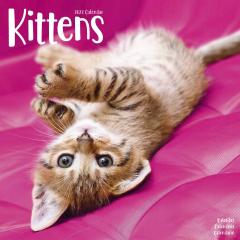 Calendar de perete 2022 - Kittens