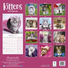 Calendar de perete 2022 - Kittens