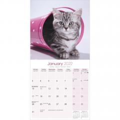 Calendar de perete 2022 - Kittens