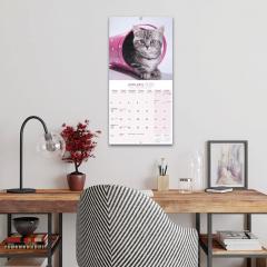 Calendar de perete 2022 - Kittens