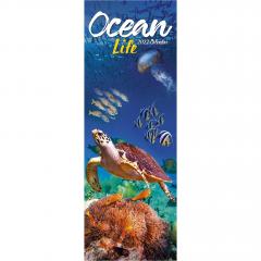 Calendar 2022 - Slimline - Ocean Life