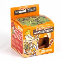 Kit pentru plantat - Arahide - Je fais pousser mes cacahuetes