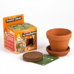 Kit pentru plantat - Arahide - Je fais pousser mes cacahuetes