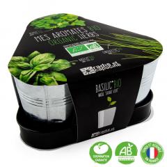 Set de plantat - Plante aromatice Bio