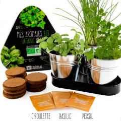 Set de plantat - Plante aromatice Bio