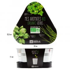 Set de plantat - Plante aromatice Bio