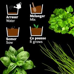 Set de plantat - Plante aromatice Bio