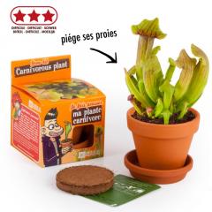 Kit de plantat cu ghiveci - Planta carnivora