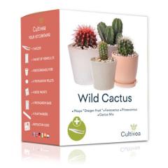 Kit pentru plante - 4 tipuri de cactus