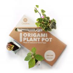 Set ghivece - Origami Plant Pot: Classic