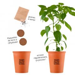 Kit pentru plantat - Ardei iute de Cayenne