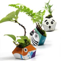 Kit de plantat - Origami Plant Pot: Urban Jungle Kit