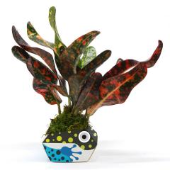 Kit de plantat - Origami Plant Pot: Urban Jungle Kit