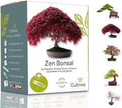 Kit pentru plante - 5 tipuri de bonsai